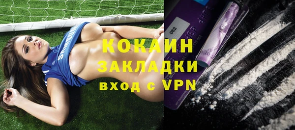 a pvp Магас