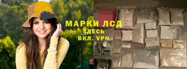 a pvp Магас